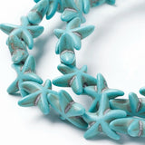 BS0088 Bead Strand Synthetic Turquoise Star Fish 14x14x4.5mm Approximately 36 Pieces Per Strand
