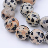 BS0137 Bead Strand Natural Dalmation Jasper Round 8mm Approximately 45 Pieces Per Strand