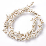 BS0101 Bead Strand Synthetic Turquoise Star Fish Dyed White 14x14x4.5mm Approximately 36 Pieces Per Strand