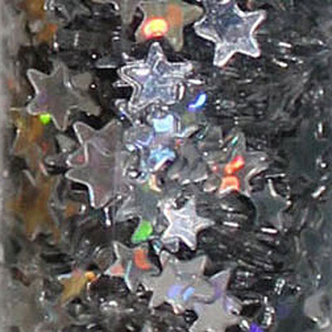 Glitter Tube 15G Stars Holographic Silver 88668