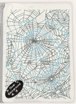 Coral Cockatoo Water Transfer Clear Decal - Spiderwebs