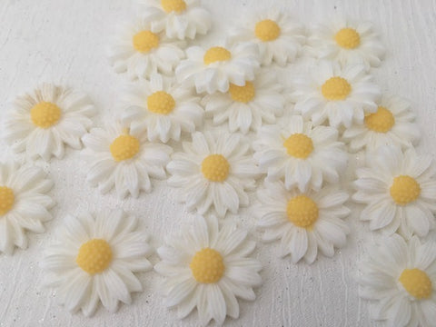 22mm Daisy Resin Charm Pair